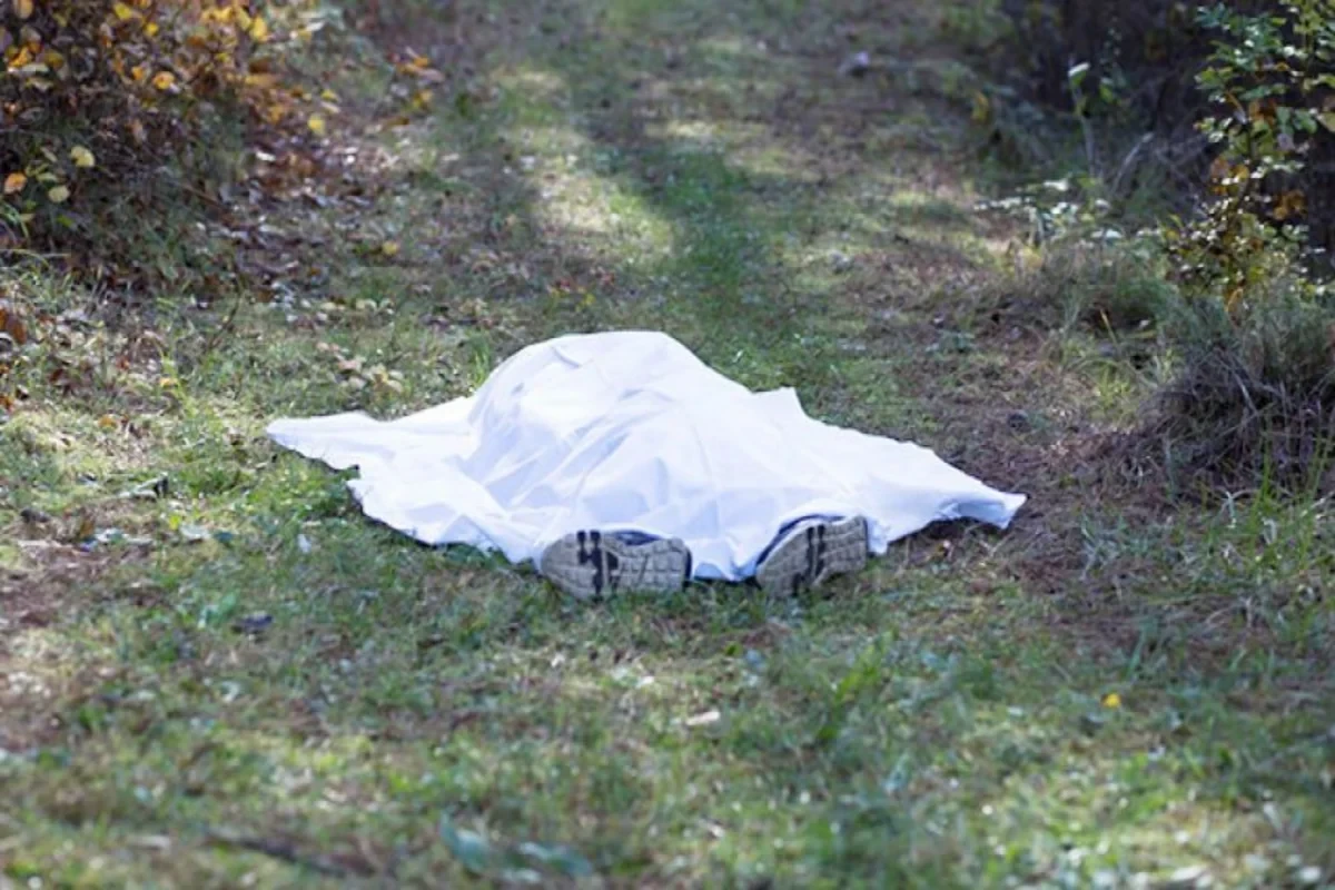 В Масаллинском районе 56-летний мужчина погиб, упав с дерева
 